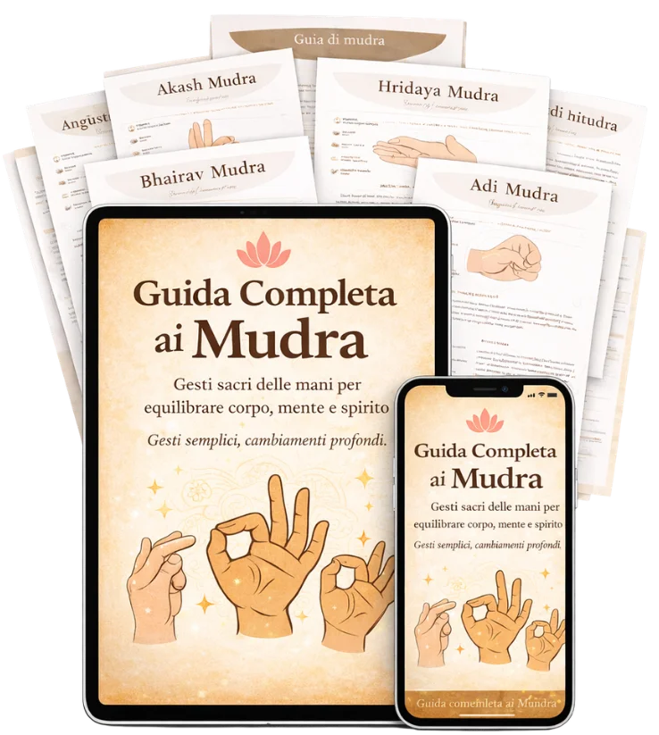 MUDRAS IT